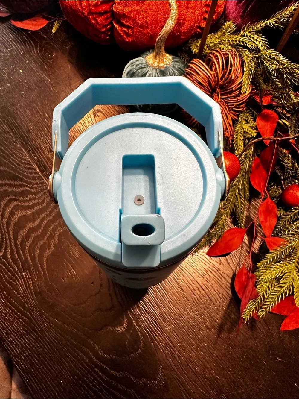 Stanley Disney Stitch Tumbler